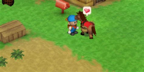 harvest moon back to nature horse race bet